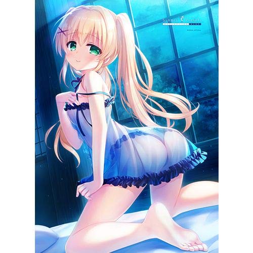 Amazon.co.jp: [Summer Pockets REFLECTION BLUE]B2タペストリー（紬